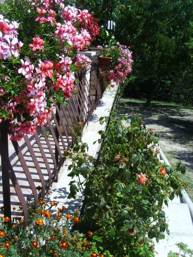 Casa Lieta Bed & Breakfast Subiaco Exterior photo